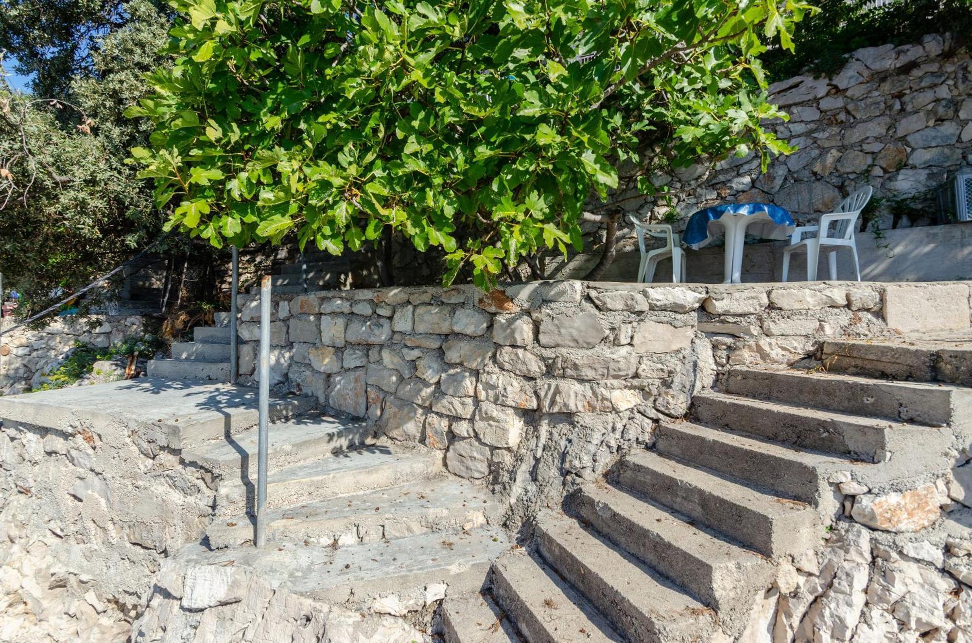 Apartmani Juraj Zavalatica Oda fotoğraf